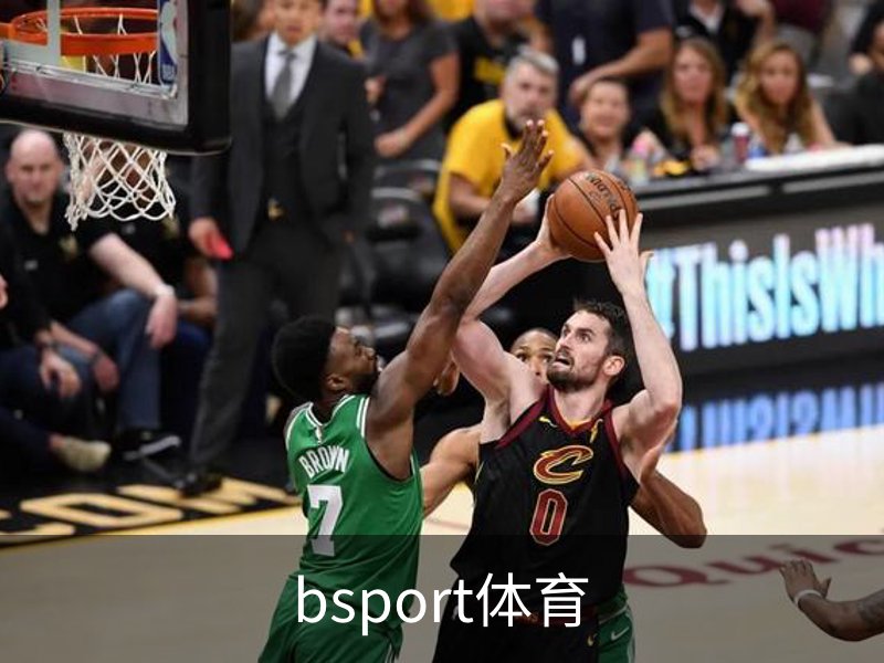 bsport体育简介